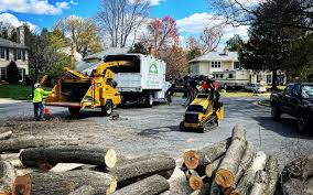 How Our Tree Care Process Works  in  Emmett, ID